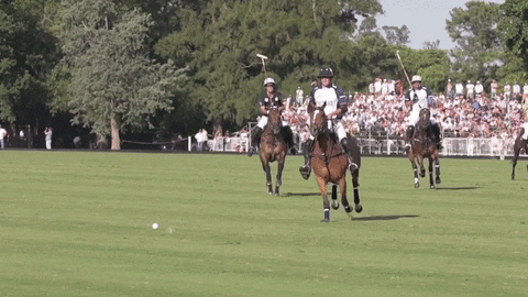 People riding horses playing polo on a green field.