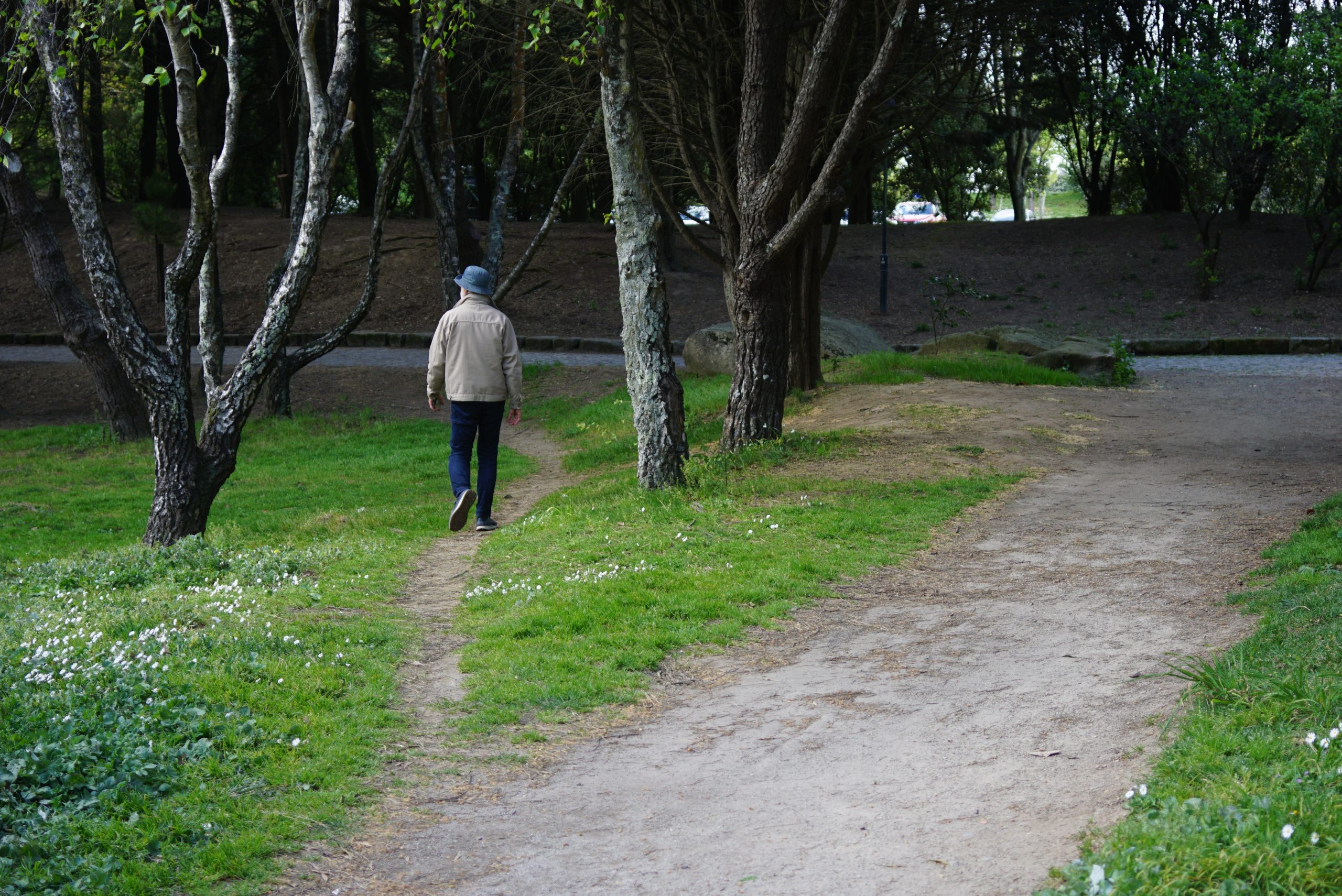 A man walking across a grass lawn, cutting across the paved walk ways.